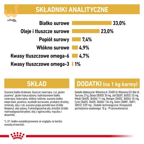 ROYAL CANIN FBN Sphynx Adult - sucha karma dla dorosłego kota - 2kg ROYAL CANIN FBN Sphynx Adult - sucha karma dla dorosłego kota - 2kg