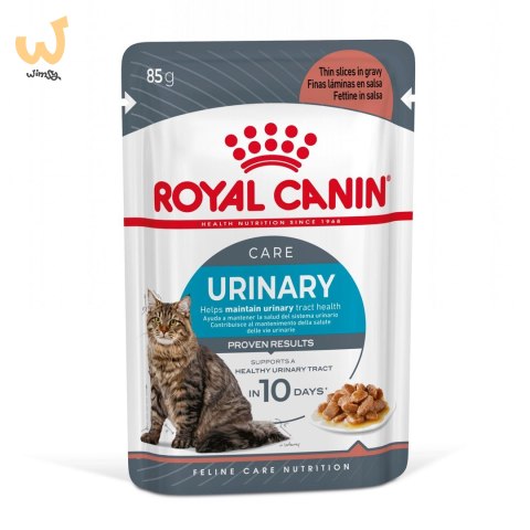 ROYAL CANIN FCN Urinary Care w sosie - mokra karma dla kota dorosłego - 12x85g ROYAL CANIN FCN Urinary Care w sosie - mokra karma dla kota dorosłego - 12x85g