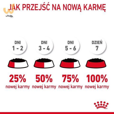 ROYAL CANIN FCN Urinary Care w sosie - mokra karma dla kota dorosłego - 12x85g ROYAL CANIN FCN Urinary Care w sosie - mokra karma dla kota dorosłego - 12x85g