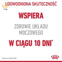 ROYAL CANIN FCN Urinary Care w sosie - mokra karma dla kota dorosłego - 12x85g