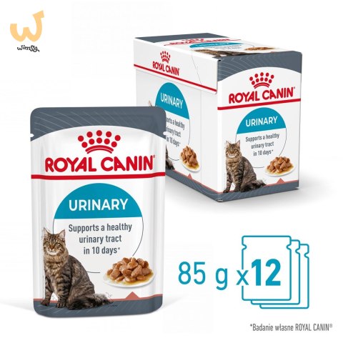 ROYAL CANIN FCN Urinary Care w sosie - mokra karma dla kota dorosłego - 12x85g ROYAL CANIN FCN Urinary Care w sosie - mokra karma dla kota dorosłego - 12x85g