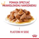 ROYAL CANIN FCN Urinary Care w sosie - mokra karma dla kota dorosłego - 12x85g