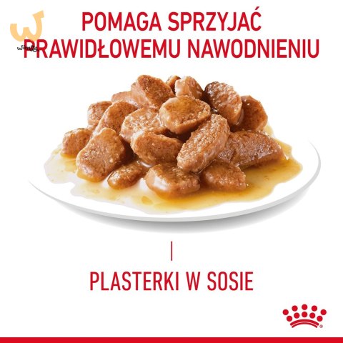 ROYAL CANIN FCN Urinary Care w sosie - mokra karma dla kota dorosłego - 12x85g ROYAL CANIN FCN Urinary Care w sosie - mokra karma dla kota dorosłego - 12x85g