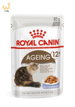 ROYAL CANIN FHN Ageing 12+ w galaretce - mokra karma dla kota starszego - 12x85g