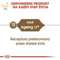 ROYAL CANIN FHN Ageing 12+ w galaretce - mokra karma dla kota starszego - 12x85g