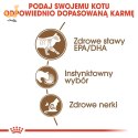 ROYAL CANIN FHN Ageing 12+ w galaretce - mokra karma dla kota starszego - 12x85g