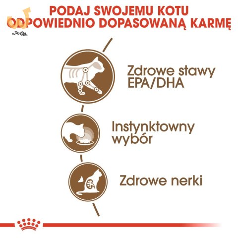 ROYAL CANIN FHN Ageing 12+ w galaretce - mokra karma dla kota starszego - 12x85g ROYAL CANIN FHN Ageing 12+ w galaretce - mokra karma dla kota starszego - 12x85g