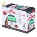 ROYAL CANIN FHN Digest Sensitive w sosie - mokra karma dla kota dorosłego - 12x85g
