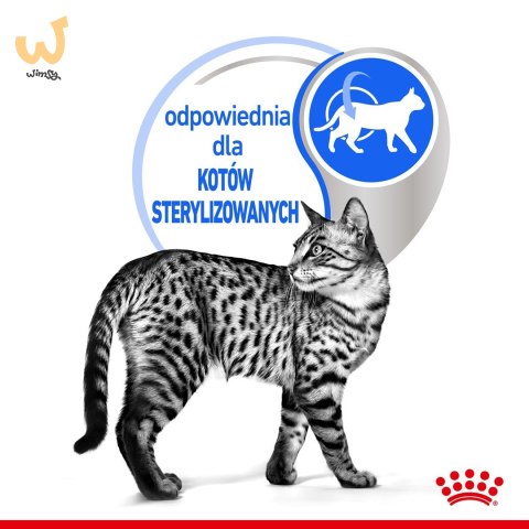 ROYAL CANIN FHN Indoor w sosie - mokra karma dla kota dorosłego - 12x85g ROYAL CANIN FHN Indoor w sosie - mokra karma dla kota dorosłego - 12x85g