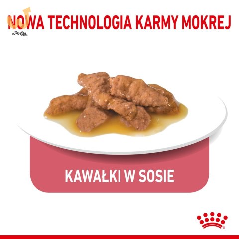 ROYAL CANIN FHN Indoor w sosie - mokra karma dla kota dorosłego - 12x85g ROYAL CANIN FHN Indoor w sosie - mokra karma dla kota dorosłego - 12x85g