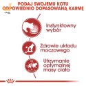 ROYAL CANIN FHN Instinctive w galaretce - mokra karma dla kota dorosłego - 12x85g