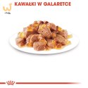 ROYAL CANIN FHN Instinctive w galaretce - mokra karma dla kota dorosłego - 12x85g