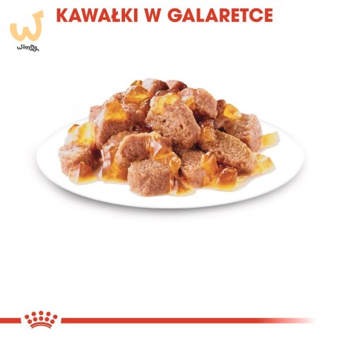 ROYAL CANIN FHN Instinctive w galaretce - mokra karma dla kota dorosłego - 12x85g ROYAL CANIN FHN Instinctive w galaretce - mokra karma dla kota dorosłego - 12x85g