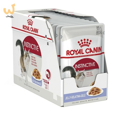ROYAL CANIN FHN Instinctive w galaretce - mokra karma dla kota dorosłego - 12x85g ROYAL CANIN FHN Instinctive w galaretce - mokra karma dla kota dorosłego - 12x85g
