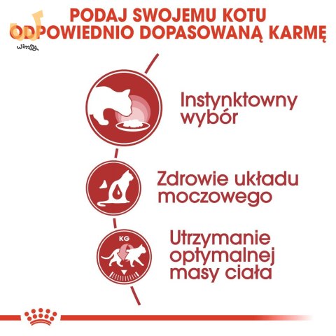 ROYAL CANIN FHN Instinctive w sosie - mokra karma dorosłych kotów - 12x 85 g ROYAL CANIN FHN Instinctive w sosie - mokra karma dorosłych kotów - 12x 85 g