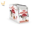 ROYAL CANIN FHN Instinctive w sosie - mokra karma dorosłych kotów - 12x 85 g