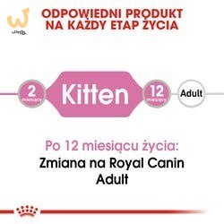 ROYAL CANIN FHN Kitten Instinctive in Jelly - mokra karma dla kociąt - 12x85g ROYAL CANIN FHN Kitten Instinctive in Jelly - mokra karma dla kociąt - 12x85g