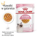 ROYAL CANIN FHN Kitten Instinctive in Jelly - mokra karma dla kociąt - 12x85g