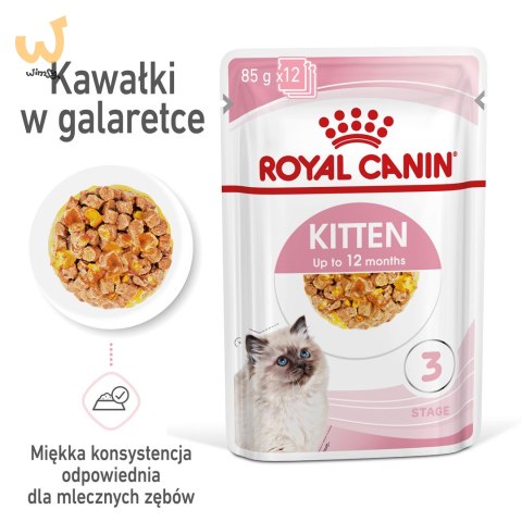 ROYAL CANIN FHN Kitten Instinctive in Jelly - mokra karma dla kociąt - 12x85g ROYAL CANIN FHN Kitten Instinctive in Jelly - mokra karma dla kociąt - 12x85g