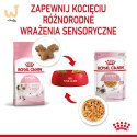 ROYAL CANIN FHN Kitten Instinctive in Jelly - mokra karma dla kociąt - 12x85g