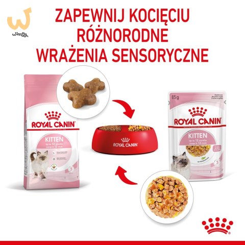 ROYAL CANIN FHN Kitten Instinctive in Jelly - mokra karma dla kociąt - 12x85g ROYAL CANIN FHN Kitten Instinctive in Jelly - mokra karma dla kociąt - 12x85g