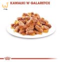 ROYAL CANIN FHN Kitten Instinctive in Jelly - mokra karma dla kociąt - 12x85g