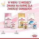 ROYAL CANIN FHN Kitten Instinctive in Jelly - mokra karma dla kociąt - 12x85g