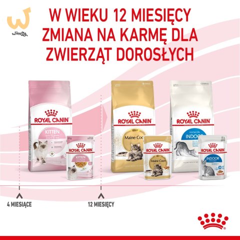 ROYAL CANIN FHN Kitten Instinctive in Jelly - mokra karma dla kociąt - 12x85g ROYAL CANIN FHN Kitten Instinctive in Jelly - mokra karma dla kociąt - 12x85g