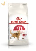 ROYAL CANIN FHN Regular Fit 32 - sucha karma dla kota dorosłego - 400 g