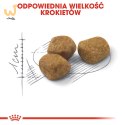 ROYAL CANIN FHN Regular Fit 32 - sucha karma dla kota dorosłego - 400 g