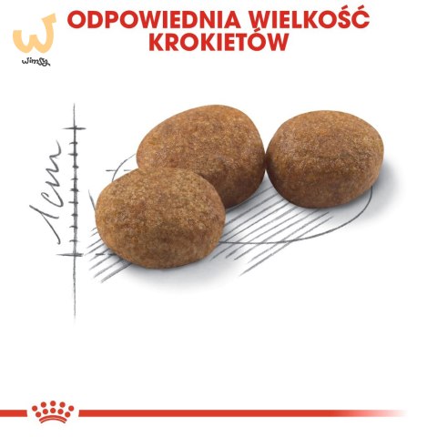 ROYAL CANIN FHN Regular Sterilised 37 - sucha karma dla kota dorosłego - 400 g ROYAL CANIN FHN Regular Sterilised 37 - sucha karma dla kota dorosłego - 400 g