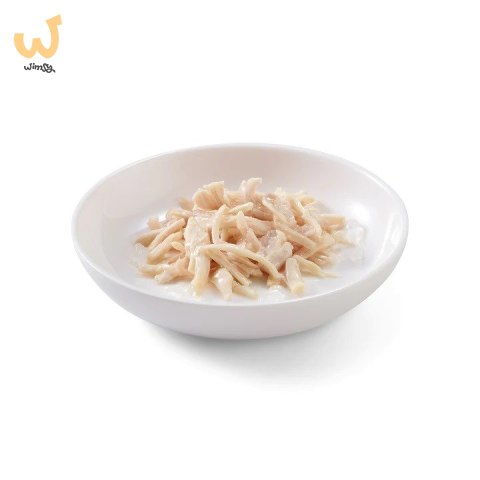 SCHESIR dla kotów Adult w Galarecie Fileciki z Kurczaka 85g SCHESIR dla kotów Adult w Galarecie Fileciki z Kurczaka 85g