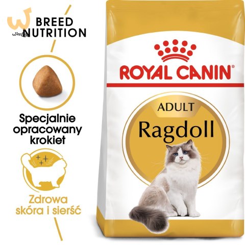 Karma Royal Canin FBN Ragdoll (0,40 kg ) Karma Royal Canin FBN Ragdoll (0,40 kg )