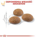 Karma Royal Canin FHN Outdoor (4 kg )