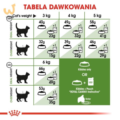 Karma Royal Canin FHN Outdoor (4 kg ) Karma Royal Canin FHN Outdoor (4 kg )