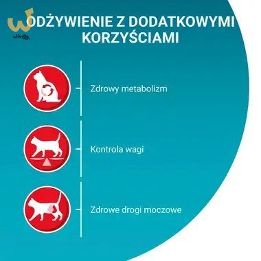 PURINA ONE Sterilcat Wołowina 9,75kg PURINA ONE Sterilcat Wołowina 9,75kg