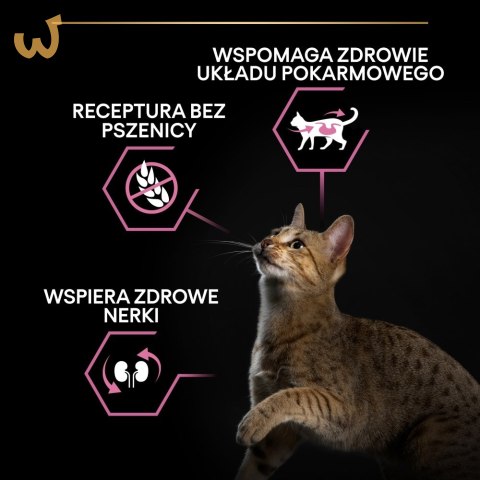 PURINA PRO PLAN DELICATE Indyk 400g PURINA PRO PLAN DELICATE Indyk 400g