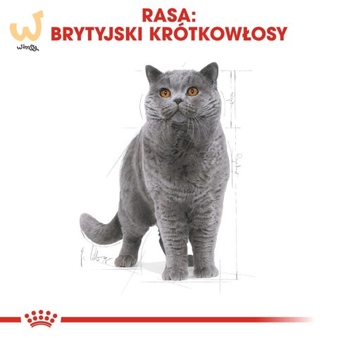 ROYAL CANIN FBN British Shorthair Adult - sucha karma dla dorosłego kota - 2kg ROYAL CANIN FBN British Shorthair Adult - sucha karma dla dorosłego kota - 2kg