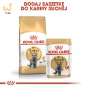ROYAL CANIN FBN British Shorthair Adult - sucha karma dla dorosłego kota - 2kg