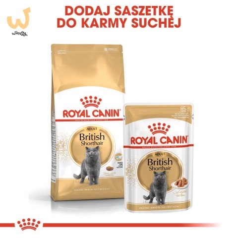 ROYAL CANIN FBN British Shorthair Adult - sucha karma dla dorosłego kota - 2kg ROYAL CANIN FBN British Shorthair Adult - sucha karma dla dorosłego kota - 2kg