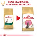ROYAL CANIN FBN Maine Coon Kitten - sucha karma dla kociąt - 2kg