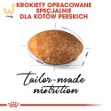 ROYAL CANIN FBN Persian Adult - sucha karma dla kota dorosłego - 10 kg