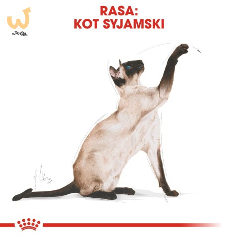 ROYAL CANIN FBN Siamese Adult - sucha karma dla dorosłego kota - 2kg ROYAL CANIN FBN Siamese Adult - sucha karma dla dorosłego kota - 2kg