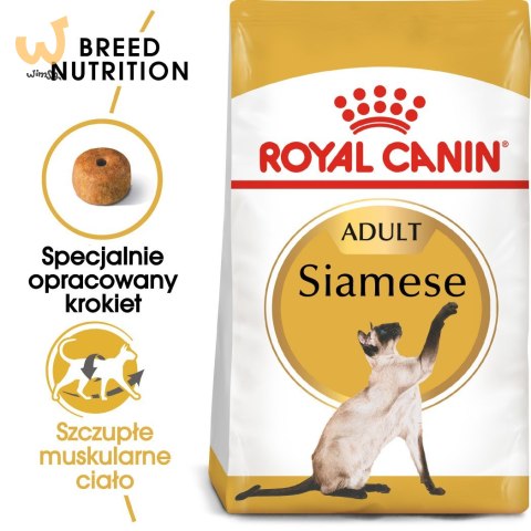 ROYAL CANIN FBN Siamese Adult - sucha karma dla dorosłego kota - 2kg ROYAL CANIN FBN Siamese Adult - sucha karma dla dorosłego kota - 2kg