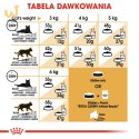 ROYAL CANIN FBN Siamese Adult - sucha karma dla dorosłego kota - 2kg