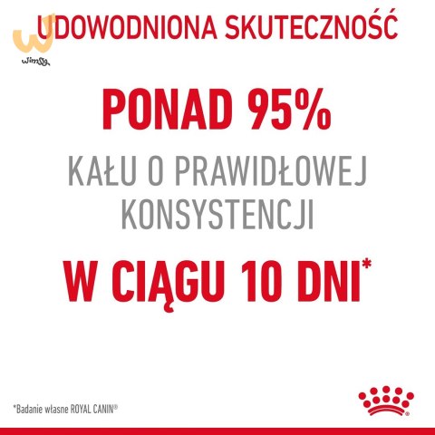 ROYAL CANIN FCN Digestive Care - sucha karma dla kota dorosłego - 10 kg ROYAL CANIN FCN Digestive Care - sucha karma dla kota dorosłego - 10 kg