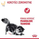 ROYAL CANIN FCN Digestive Care - sucha karma dla kota dorosłego - 10 kg