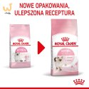 ROYAL CANIN FHN Kitten - sucha karma dla kociąt - 10kg