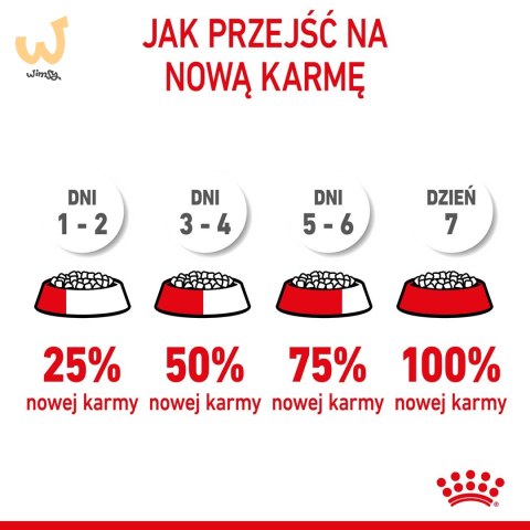 ROYAL CANIN FHN Kitten - sucha karma dla kociąt - 4kg ROYAL CANIN FHN Kitten - sucha karma dla kociąt - 4kg