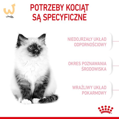 ROYAL CANIN FHN Kitten - sucha karma dla kociąt - 4kg ROYAL CANIN FHN Kitten - sucha karma dla kociąt - 4kg